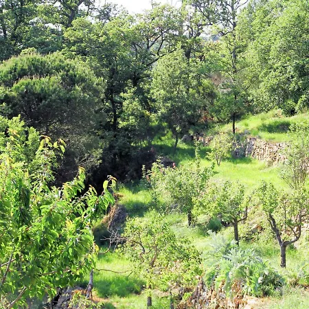 Locazione Turistica Casa Quercia * Pontedassio